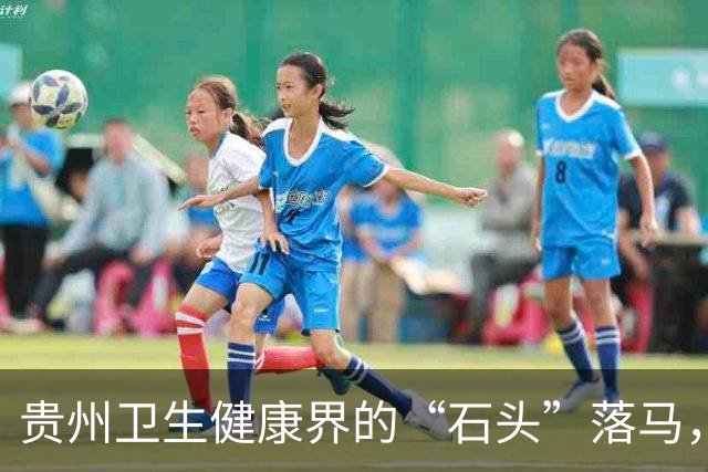 贵州卫生健康界的“石头”落马，背后的故事更精彩
